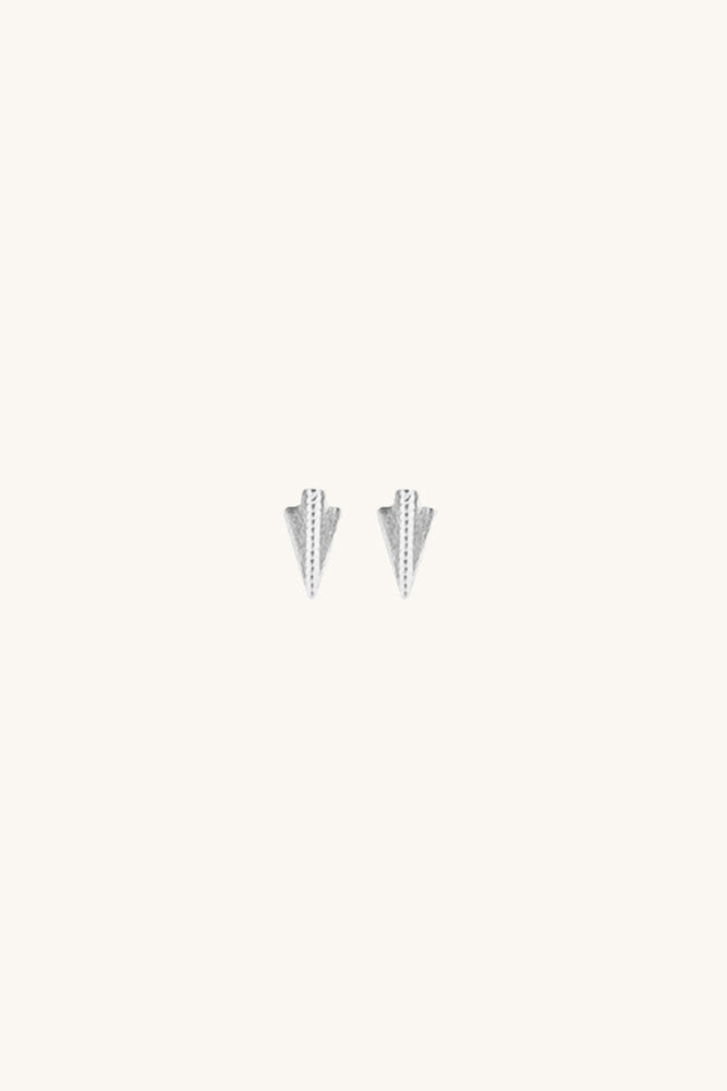 Sierra Winter sterling silver arrowhead tailgate earrings