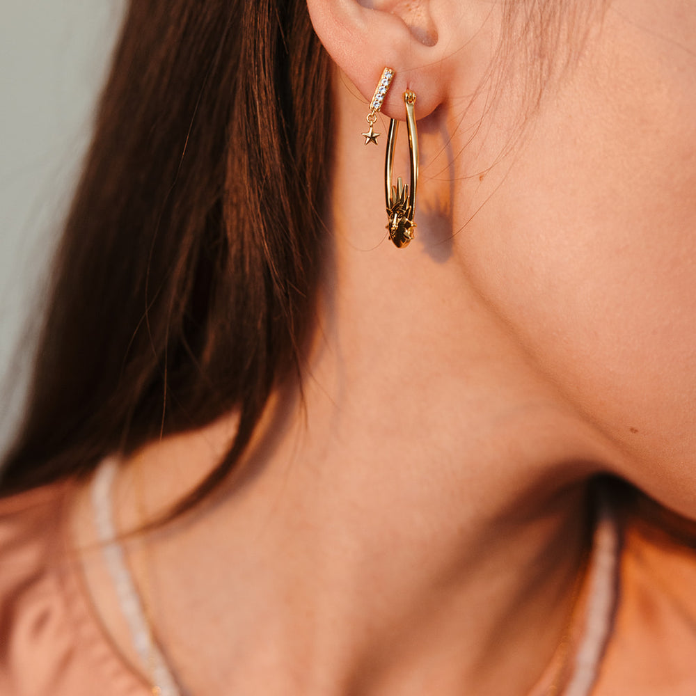 Earrings