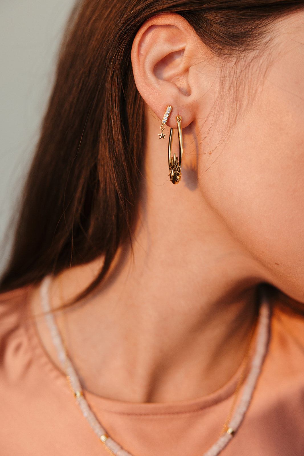 Earrings