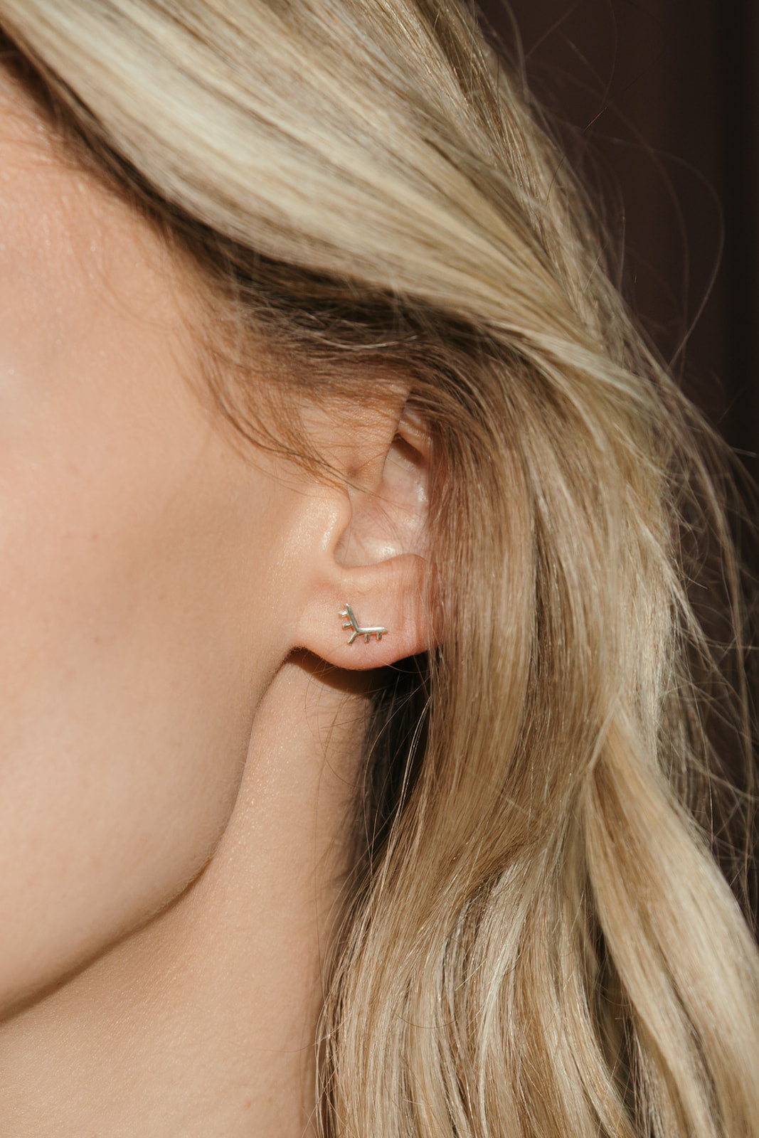 sierra winter sunrise dainty silver stud earrings