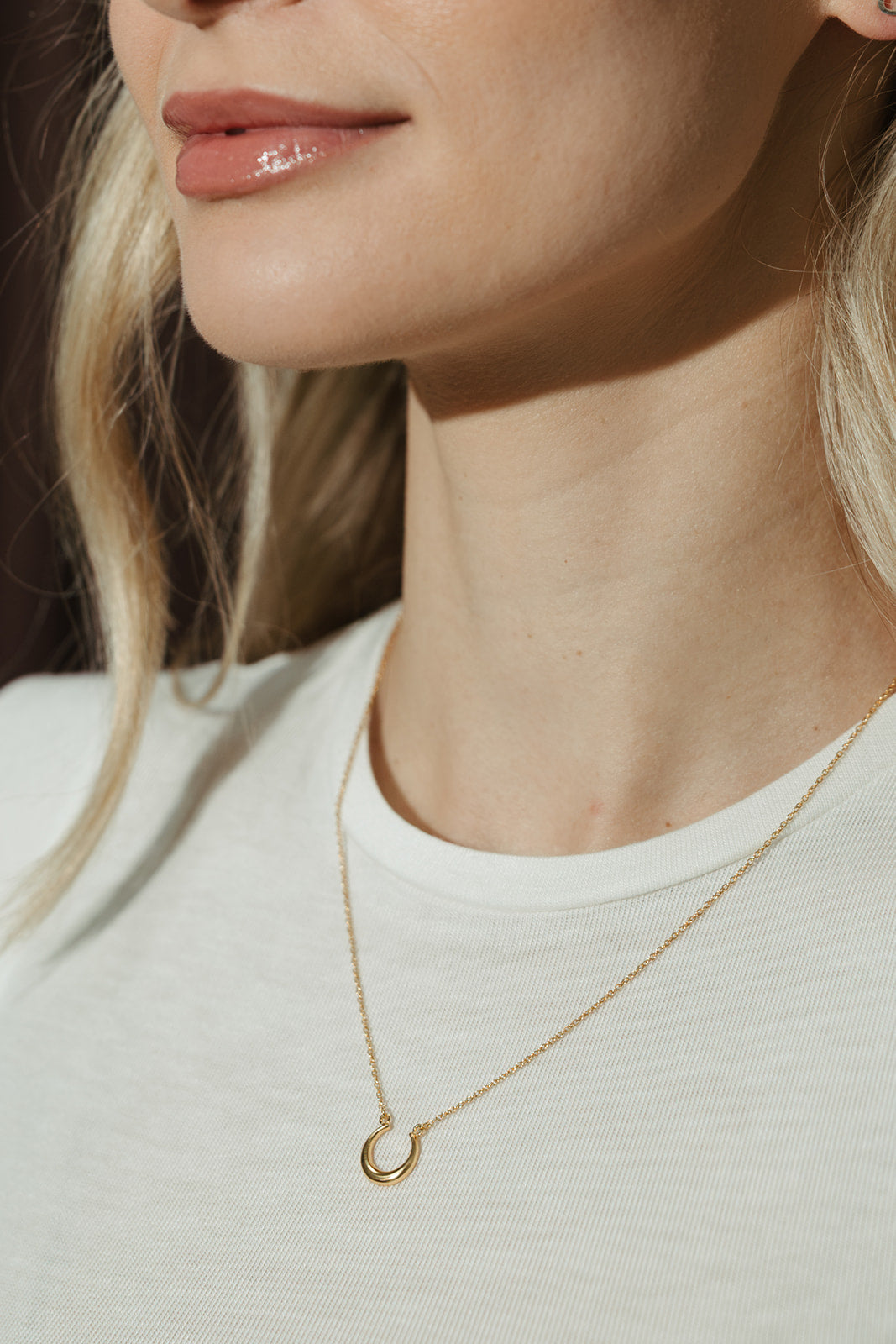sierra winter gold dainty horseshoe lady luck necklace