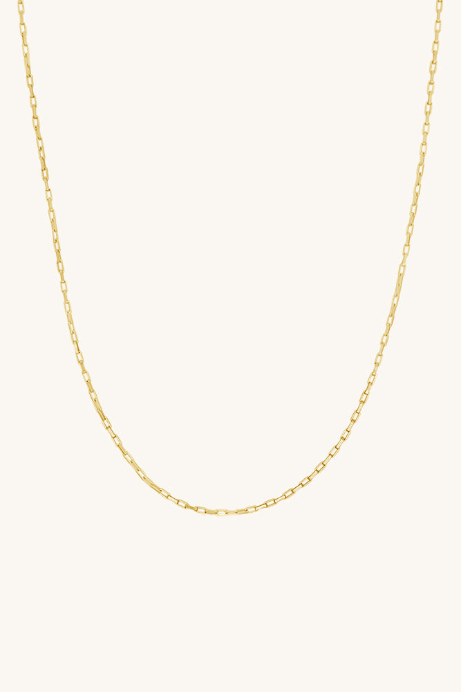 
                      
                        Erin Chain Necklace
                      
                    