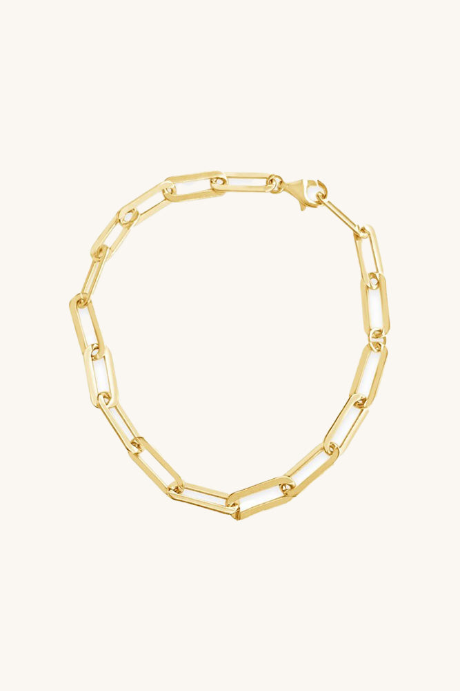 
                      
                        gold vermeil link chain bracelet
                      
                    