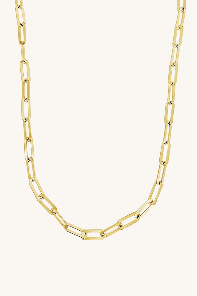 
                      
                        the hank gold paperclip link chain necklace
                      
                    