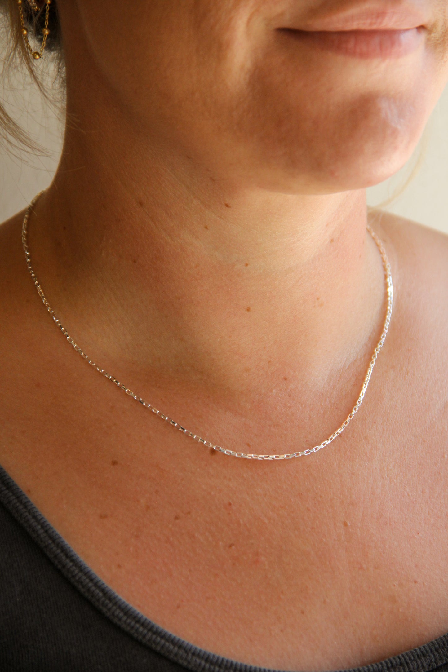 silver plated delicate paperclip tiny chain sierra winter